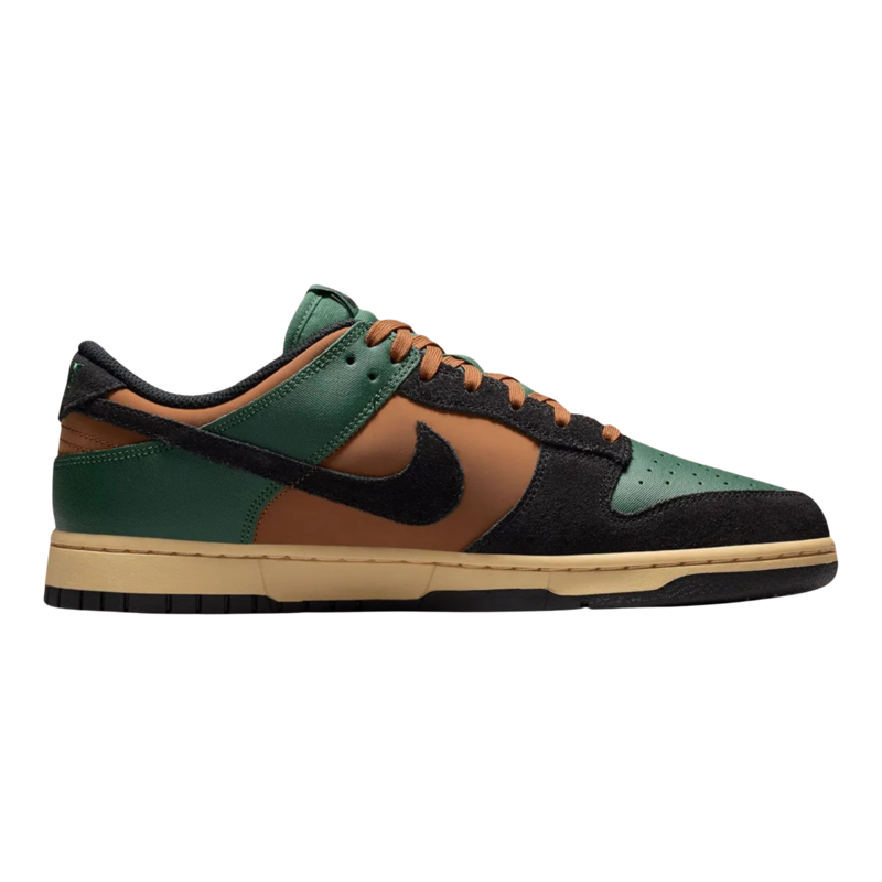 Muške patike Nike Dunk low retro dimension