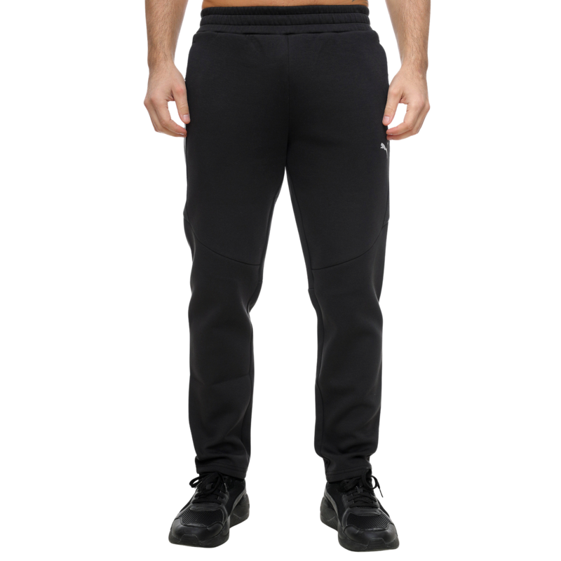 Muška trenerka donji deo Puma Evostripe pants dk
