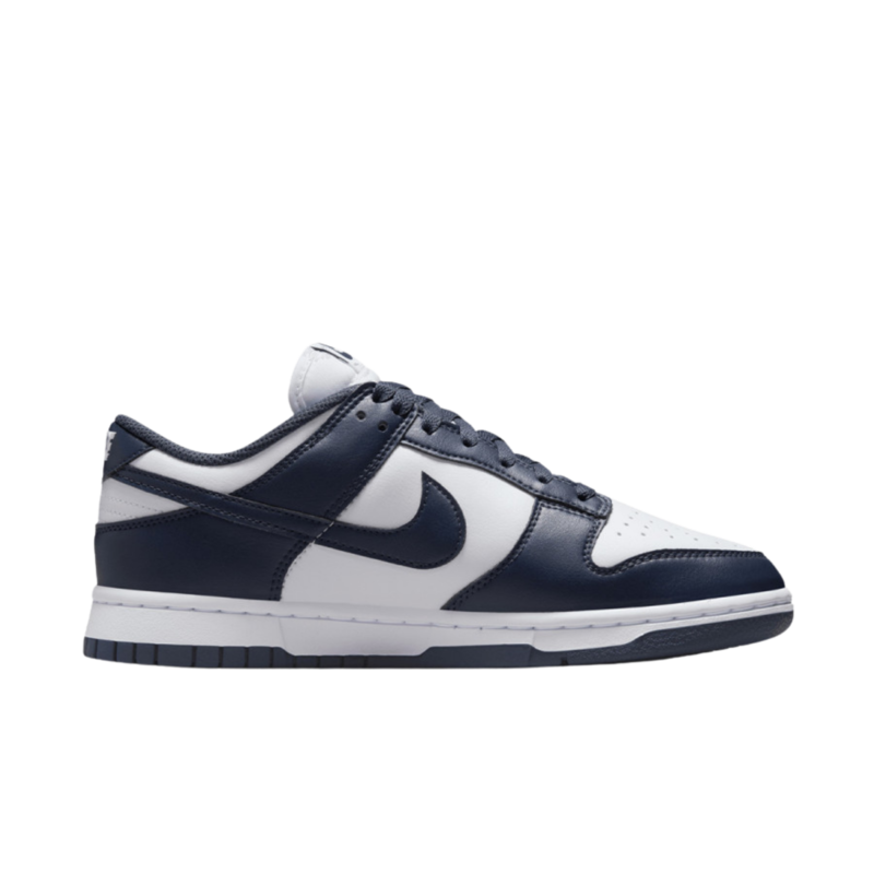 Ženske patike Nike W nike dunk low next nature