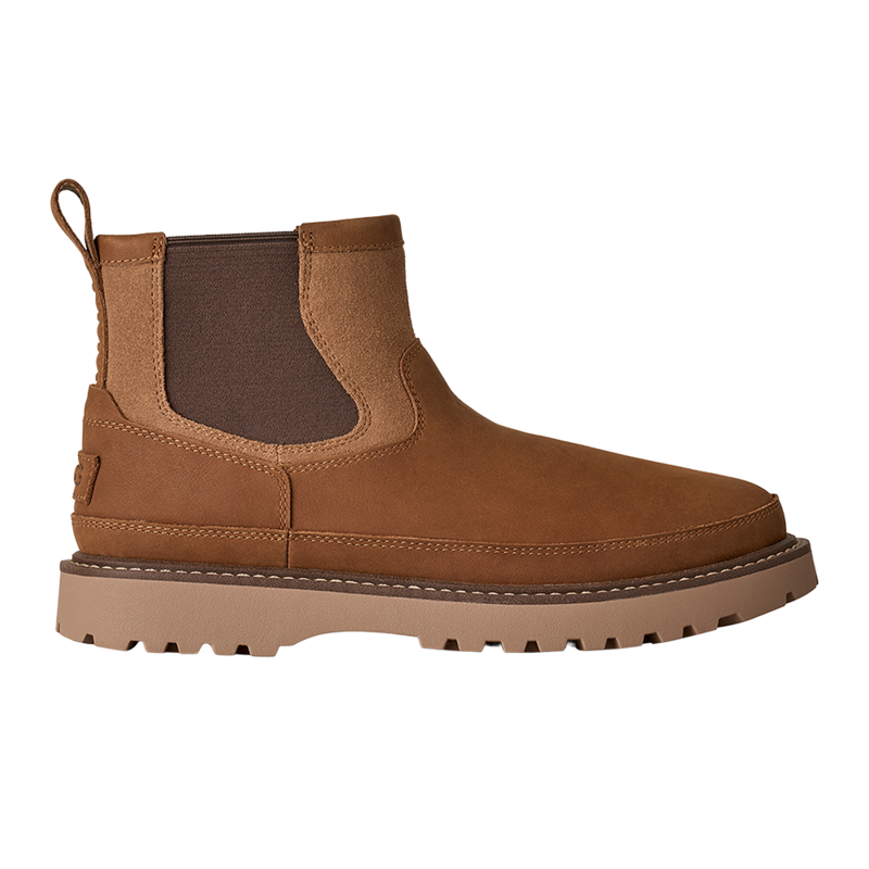 Muške čizme Ugg Birch chelsea