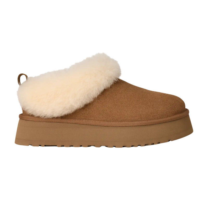 Ženske čizme Ugg Tazzelle