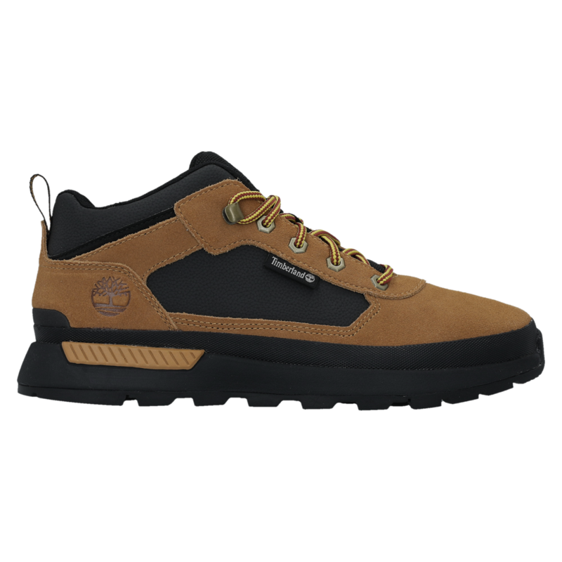 Muške cipele Timberland FIELD TREKKER LOW