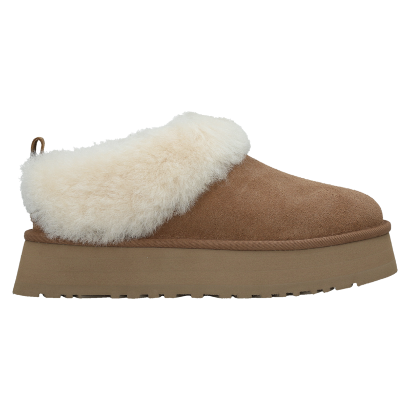 Ženske čizme Ugg Tazzelle