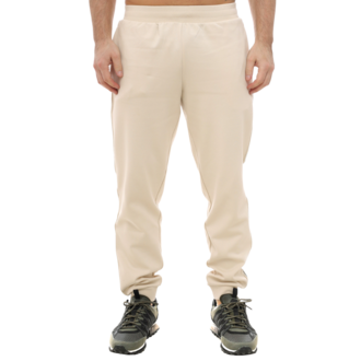 Muške pantalone Emporio Armani Trouser
