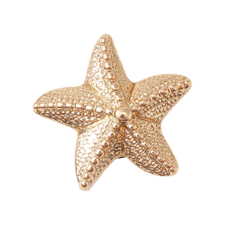 Unisex bedž Crocs Gold star fish