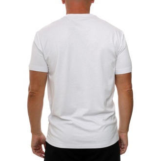 Muška majica Emporio Armani Train gold label m tee ss big