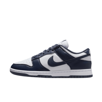 Ženske patike Nike W nike dunk low next nature