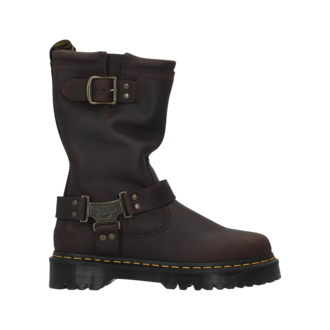 Ženske čizme Dr. Martens anistone hi