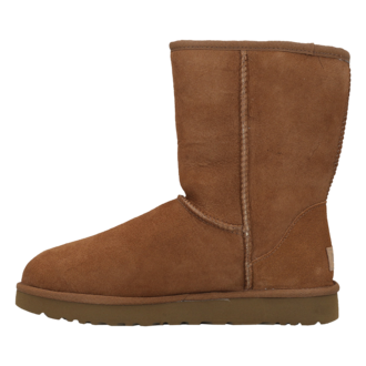 Ženske čizme Ugg W Classic Short II
