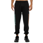 Muška trenerka donji deo Puma SWxP Sweatpants TR