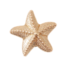 Unisex bedž Crocs Gold star fish