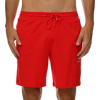 Muški šorc Puma CLASSICS LOGO SHORTS 8” BABY TR