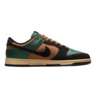 Muške patike Nike Dunk low retro dimension