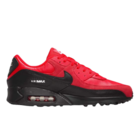 Muške patike Nike Air max 90 moto