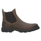 Muške čizme Ugg Biltmore chelsea